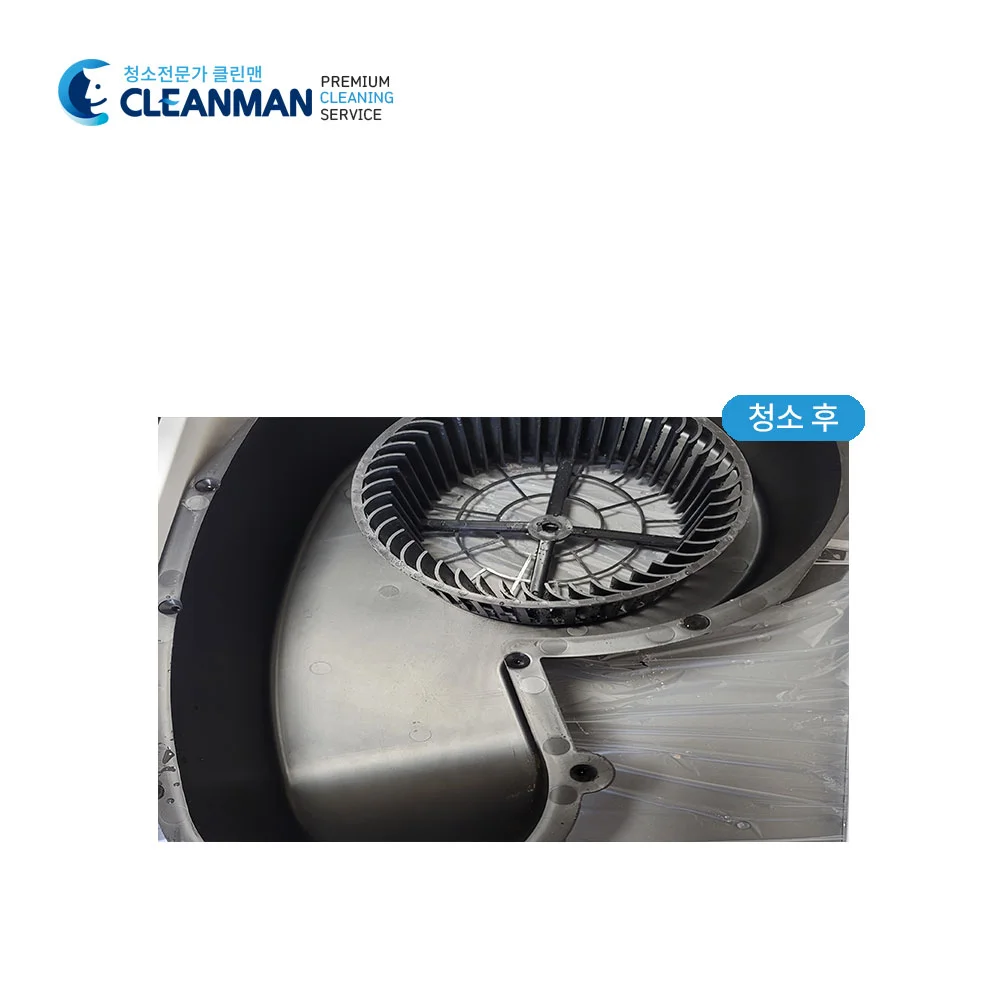 이미지 5