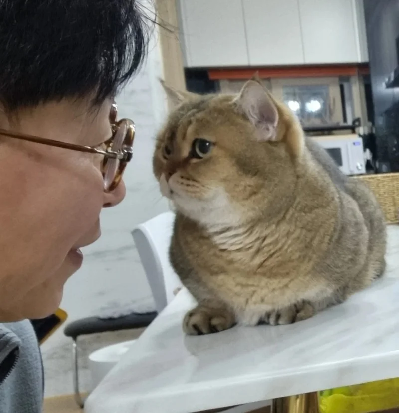 이미지 6