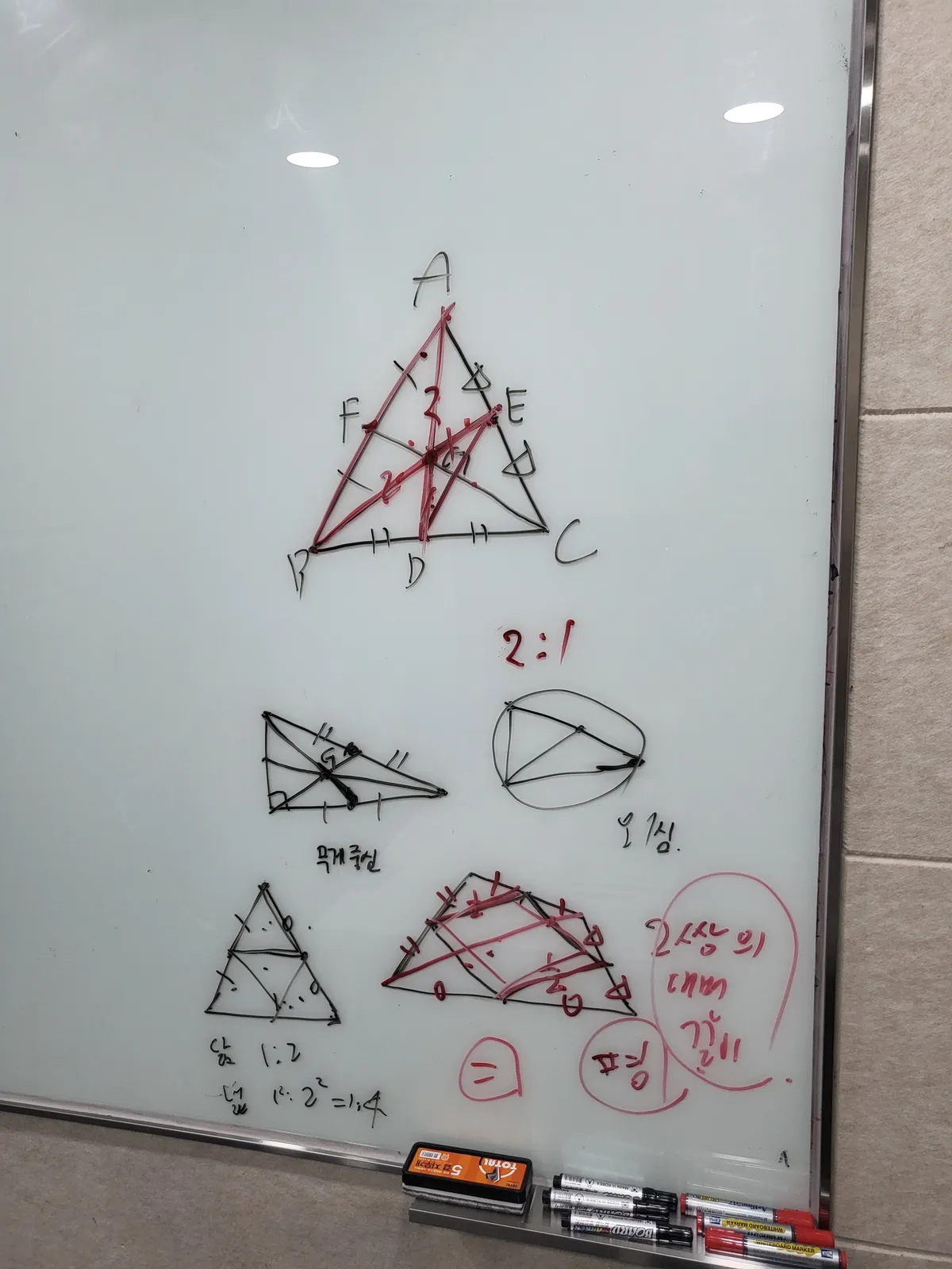 이미지 7