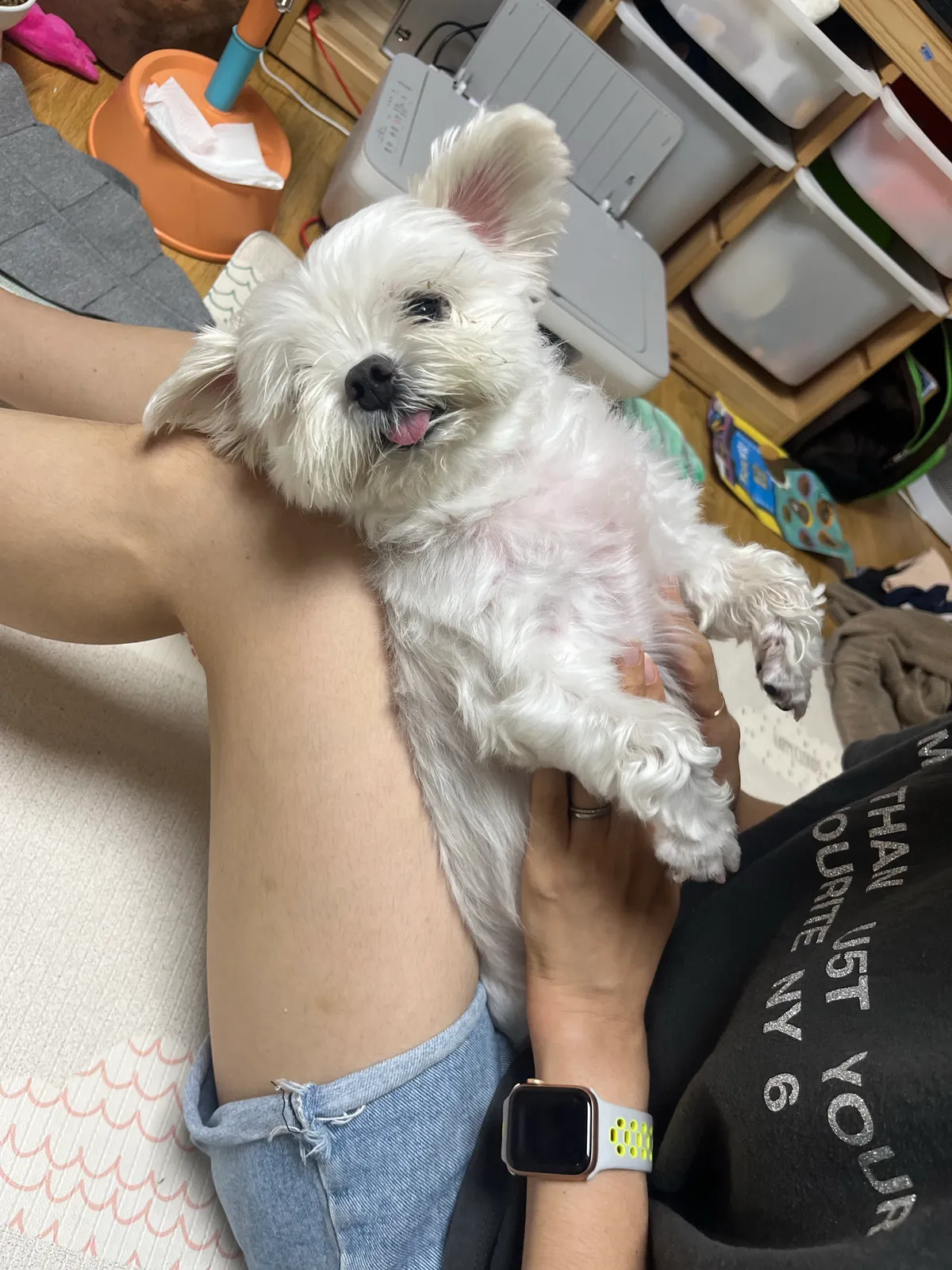 이미지 14