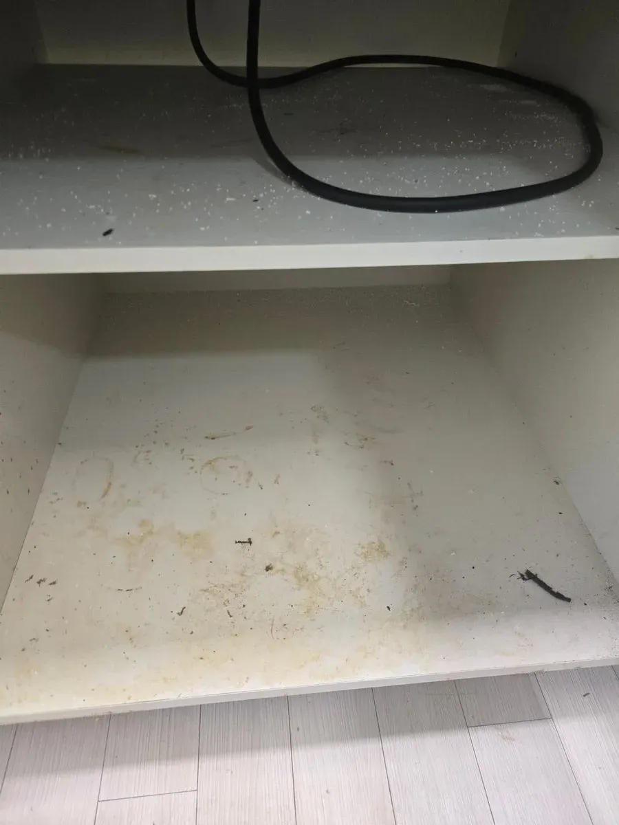 포트폴리오 대표 이미지