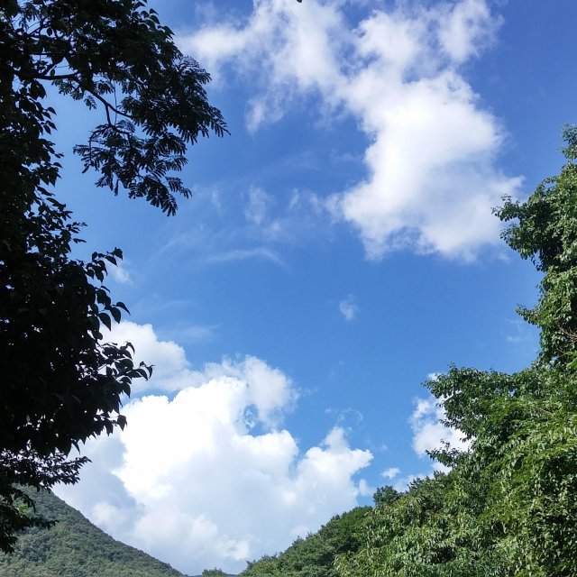 사용자 이미지