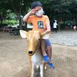 사용자 이미지