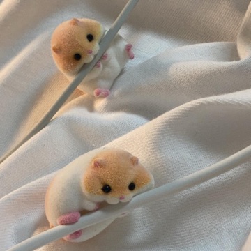 이유원 고수 프로필