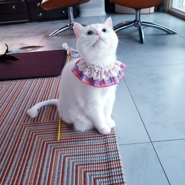 사용자 이미지