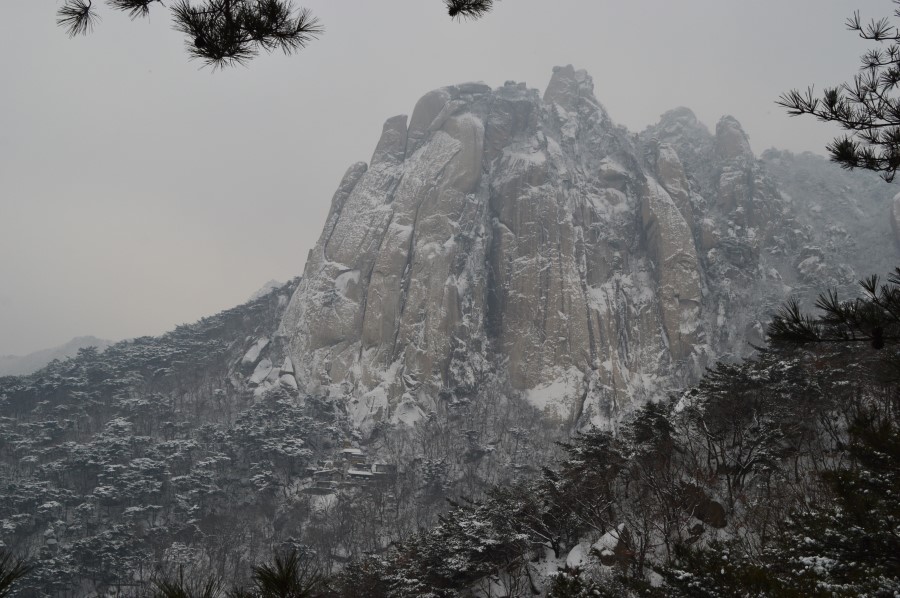 사용자 이미지