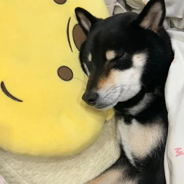 사용자 이미지