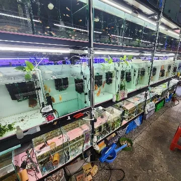 사용자 이미지
