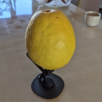 사용자 이미지