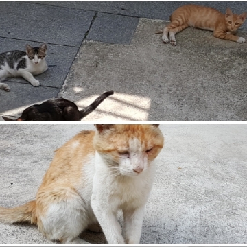 사용자 이미지