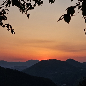 이난 고수 프로필