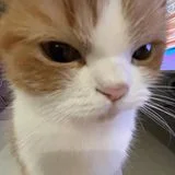 Listo | 전 프로게이머 LoL 정글 강의