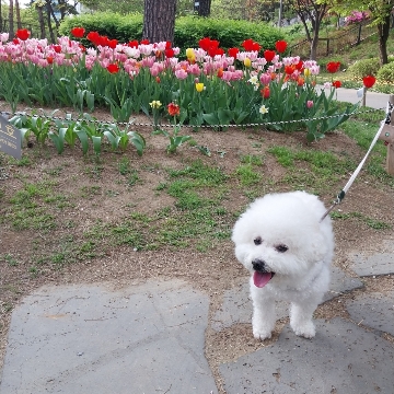 사용자 이미지