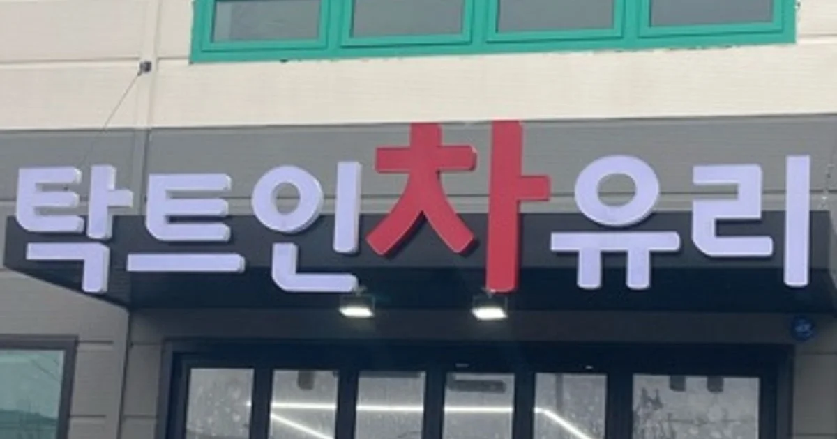 탁트인 자동차유리 고수의 자동차 정비 서비스, 충남 천안시 - 숨고, 숨은고수 탁트인 자동차유리 고수의 자동차 정비 서비스, 충남 천안시