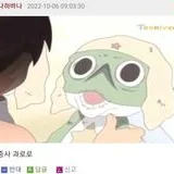 취업도우미 강사 전수현