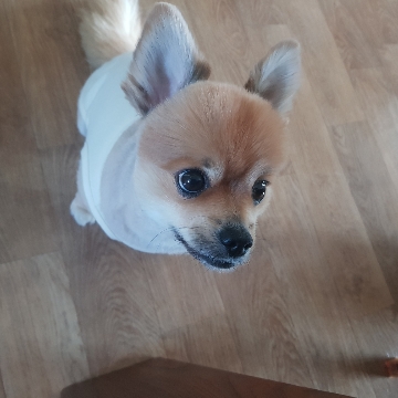 사용자 이미지