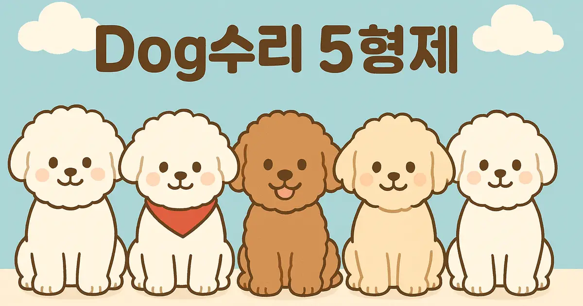 유정 고수의 반려견 산책 서비스, 부산 강서구 - 숨고, 숨은고수 유정 고수의 반려견 산책 서비스, 부산 강서구