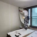 도배세상