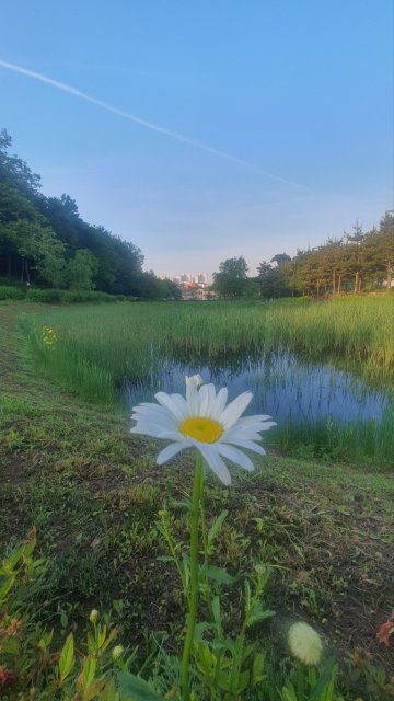 사용자 이미지
