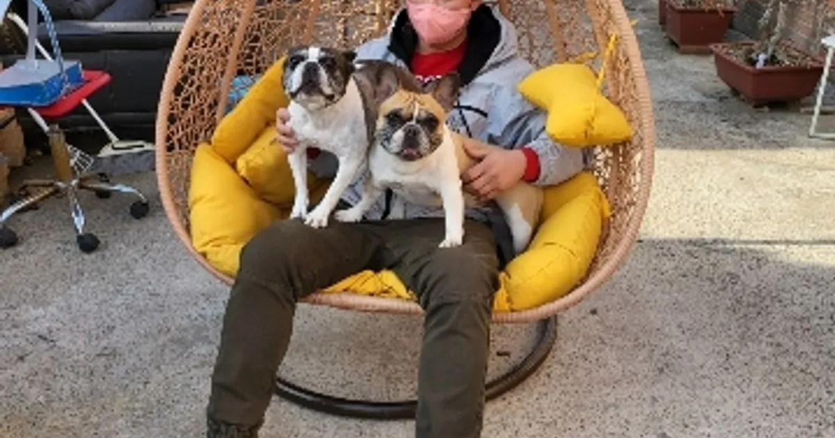 김현식 고수의 타일 시공 서비스, 경남 밀양시 - 숨고, 숨은고수 김현식 고수의 타일 시공 서비스, 경남 밀양시