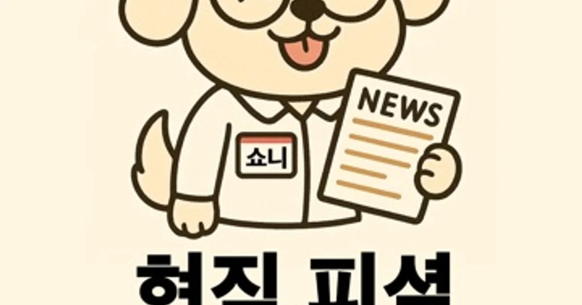 쇼니 고수의 취업 컨설팅 서비스, 경기 수원시 - 숨고, 숨은고수 쇼니 고수의 취업 컨설팅 서비스, 경기 수원시