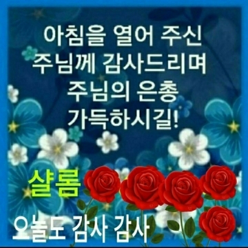 사용자 이미지