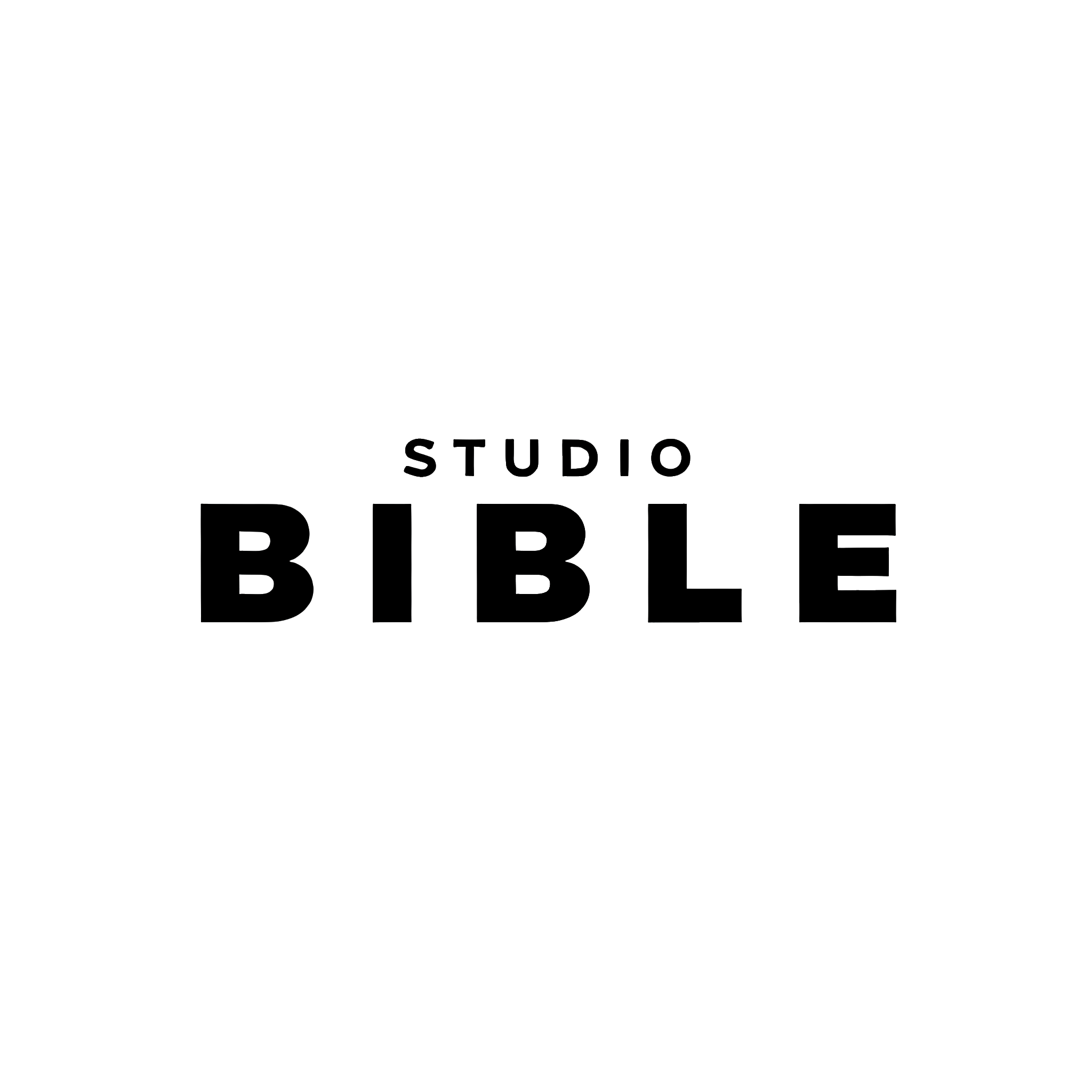 스튜디오 바이블 고수 프로필