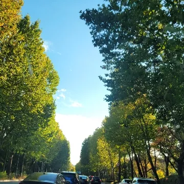 사용자 이미지