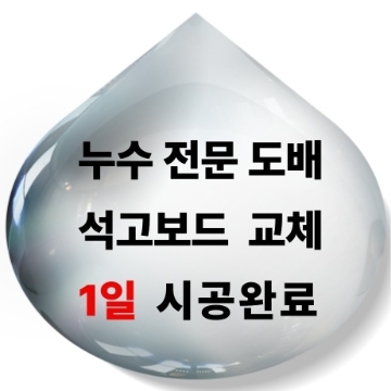 무. 니 .도. 배. 고수 프로필