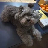 미쁘다 홈 케어