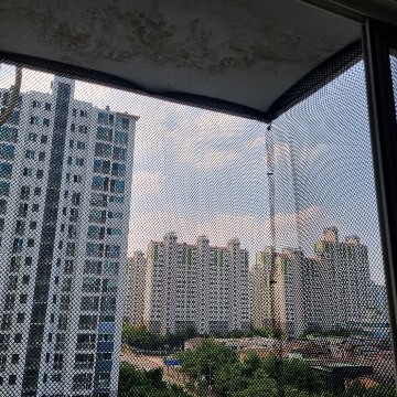 버드제로 고수 프로필