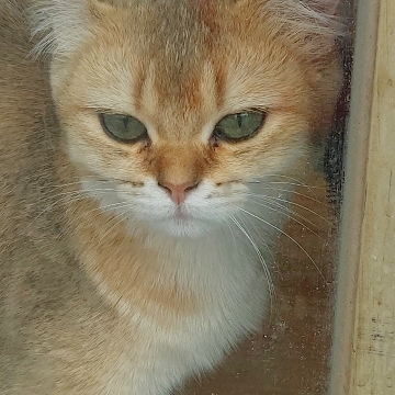 사용자 이미지
