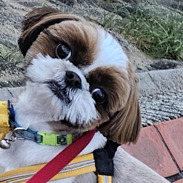 사용자 이미지