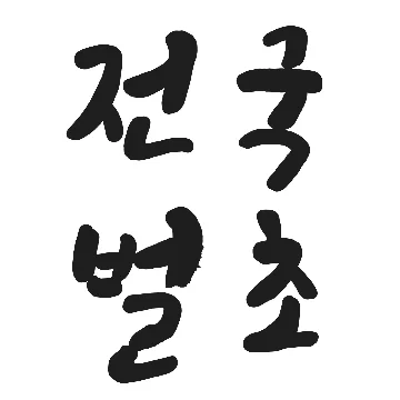 사용자 이미지