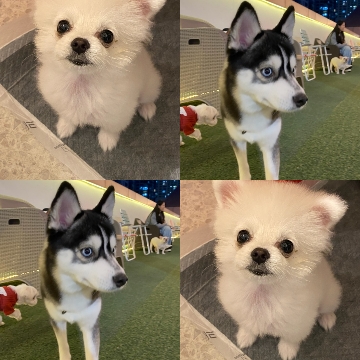 사용자 이미지