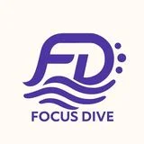포커스다이브