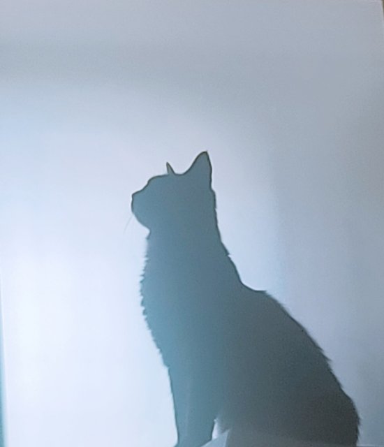 사용자 이미지