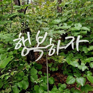 사용자 이미지