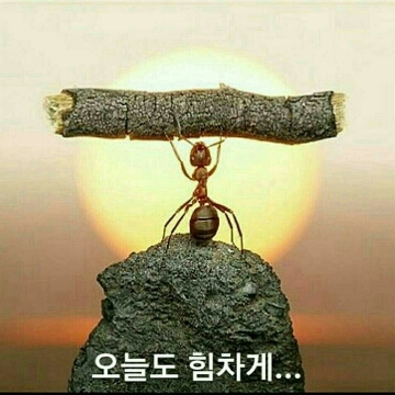 사용자 이미지