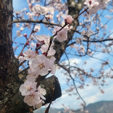 사용자 이미지