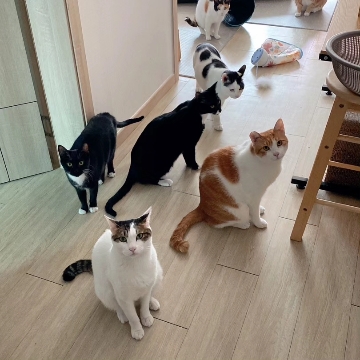 사용자 이미지
