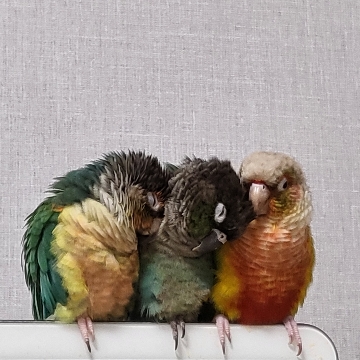 사용자 이미지