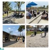 반려견 교육 Nico 트레이너