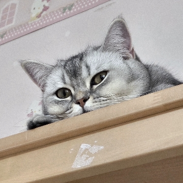 사용자 이미지