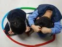 남희정