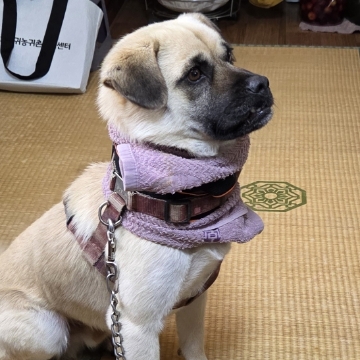 사용자 이미지