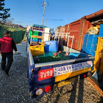 사용자 이미지