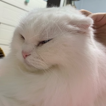 루니 고수 프로필