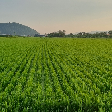 망산 찐벌초 고수 프로필