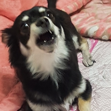 사용자 이미지